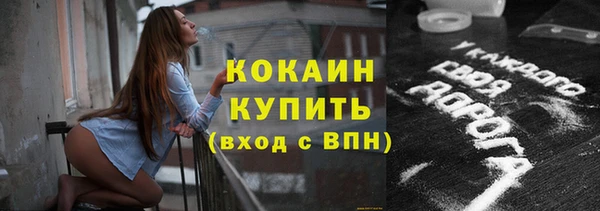 гашик Гусев
