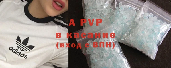 гашик Гусев