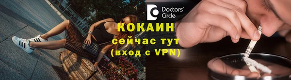 гашик Гусев
