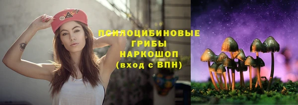 ПСИЛОЦИБИНОВЫЕ ГРИБЫ Валуйки
