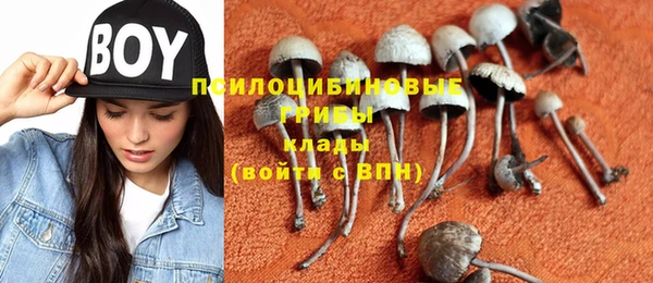 гашик Гусев