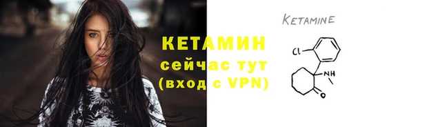 гашик Гусев