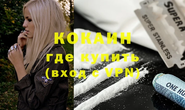 гашик Гусев