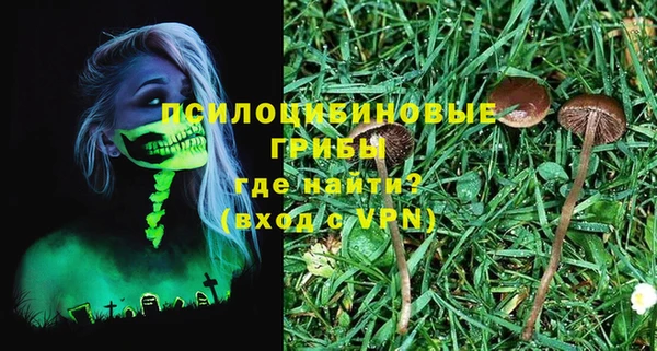 не бодяженный Гусь-Хрустальный